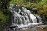 Purakaunui Falls
