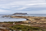 l'anse aux Meadows
