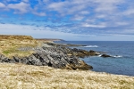 Mistaken Point
