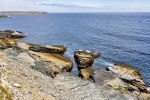 Mistaken Point
