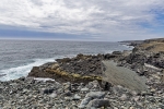 Mistaken Point
