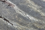 Mistaken Point
