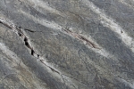 Mistaken Point
