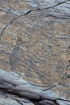 Mistaken Point
