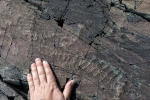 Mistaken Point
