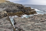 Mistaken Point
