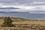 Cape Spear
