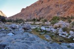 Wadi Tiwi
