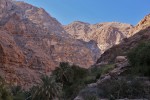 Wadi Shab
