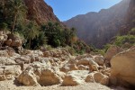 Wadi Shab
