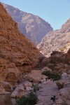 Wadi Shab
