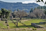 Olympia
