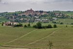 krajobraz winnic Monferrato
