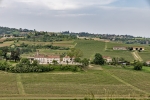 krajobraz winnic Monferrato
