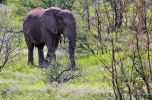 Pilanesberg National Park
