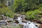 Alpy Julijskie - wodospad i rzeczka
