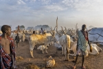plemi Dinka w okolicach Dor - wieczr
