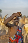 plemi Dinka w okolicach Dor - wieczr
