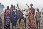 plemi Dinka w okolicach Dor - wieczr
