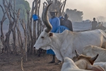 plemi Dinka w okolicach Dor - wieczr

