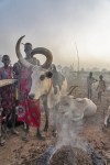 plemi Dinka w okolicach Dor - wieczr
