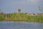 Wyspiarze na Bagnach Sudd
