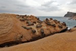 Yehliu Geopark
