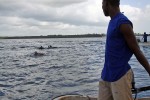 Zanzibar - pływanie z delfinami
