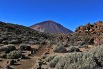 Teide
