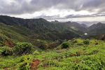 Parque Rural de Anaga
