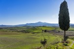 okolice Pienza
