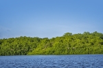 Caroni Bird Sanctuary
