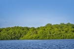 Caroni Bird Sanctuary
