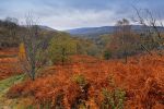 Brecon Beacons National Park
