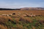 Brecon Beacons National Park
