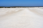 Shark Bay
