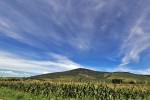 Tokaj