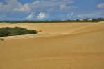 Park Narodowy Medanos de Coro