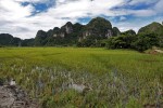 Tam Coc
